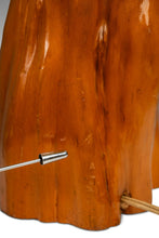 Load image into Gallery viewer, Mid-Century Modern Cypress Knee Table Lamp in Solid Florida Bald Cypress, USA, c. 1960s-ABT Modern