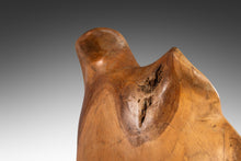 Load image into Gallery viewer, Vintage Organic Modern Solid Teak Burlwood Planter Sculpture-ABT Modern