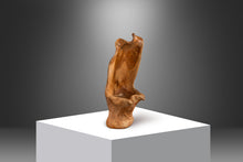Load image into Gallery viewer, Vintage Organic Modern Solid Teak Burlwood Planter Sculpture-ABT Modern
