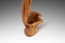 Load image into Gallery viewer, Vintage Organic Modern Solid Teak Burlwood Planter Sculpture-ABT Modern