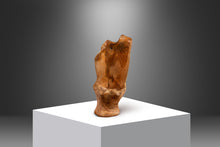 Load image into Gallery viewer, Vintage Organic Modern Solid Teak Burlwood Planter Sculpture-ABT Modern