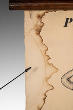 Load image into Gallery viewer, Antique Wurmer Worm Wall Chart by Rudolf Leuckart 42.5" x 55", 1885-ABT Modern