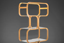 Load image into Gallery viewer, Plycraft Bentwood and Glass Etagere / Display, 1970s-ABT Modern