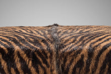 Load image into Gallery viewer, Set of Four (4) Italian Mid Century Modern Stacking Chrome Chairs w/ Hair On Hide Seats Attributed to Otto Gerdau, Italy, c.1970's-ABT Modern