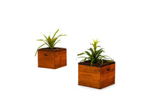 Load image into Gallery viewer, Set of Two (2) Danish Modern Planters / Storage Bins in Teak & Rosewood, Denmark, c. 1960's-ABT Modern