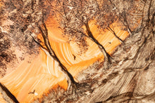 Load image into Gallery viewer, Set of Two (2) Early Signed Jack Lord Oil Paintings / Tiles / Wood Frames, USA, c. 1940's-ABT Modern