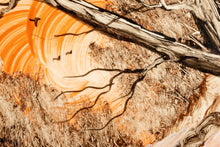 Load image into Gallery viewer, Set of Two (2) Early Signed Jack Lord Oil Paintings / Tiles / Wood Frames, USA, c. 1940's-ABT Modern