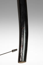 Load image into Gallery viewer, Single Bentwood Prague Model 811 Dining Chair by Josef Frank Josef Hoffmann for Stendig with Original Cane Seat & Back, Poland, c. 1960s-ABT Modern