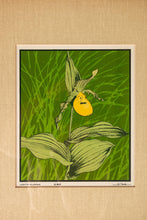 Load image into Gallery viewer, Mid-Century Modern Boho Chic 18/65 Framed &amp; Signed Lithograph Print of a Lady's Slipper Orchid by John Cook, USA, c. 1960s-ABT Modern
