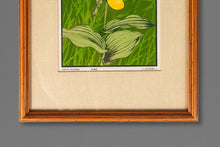 Load image into Gallery viewer, Mid-Century Modern Boho Chic 18/65 Framed &amp; Signed Lithograph Print of a Lady's Slipper Orchid by John Cook, USA, c. 1960s-ABT Modern
