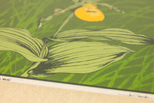 Load image into Gallery viewer, Mid-Century Modern Boho Chic 18/65 Framed &amp; Signed Lithograph Print of a Lady's Slipper Orchid by John Cook, USA, c. 1960s-ABT Modern
