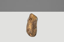 Load image into Gallery viewer, 1 of 1 Organic Modern Wall-Hanging "New Beginnings" Sculpture in Solid Bronze by Mark Leblanc for Leblanc Studios, USA, c. 2020s
