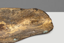 Load image into Gallery viewer, 1 of 1 Organic Modern Wall-Hanging "New Beginnings" Sculpture in Solid Bronze by Mark Leblanc for Leblanc Studios, USA, c. 2020s
