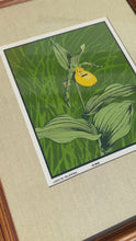 Load and play video in Gallery viewer, Mid-Century Modern Boho Chic 18/65 Framed &amp; Signed Lithograph Print of a Lady's Slipper Orchid by John Cook, USA, c. 1960s
