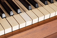 Load image into Gallery viewer, ON HOLD - Baldwin Acrosonic Piano in Walnut and Cane-ABT Modern
