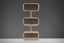 Load image into Gallery viewer, Plycraft Bentwood and Glass Etagere / Display, 1970s-ABT Modern
