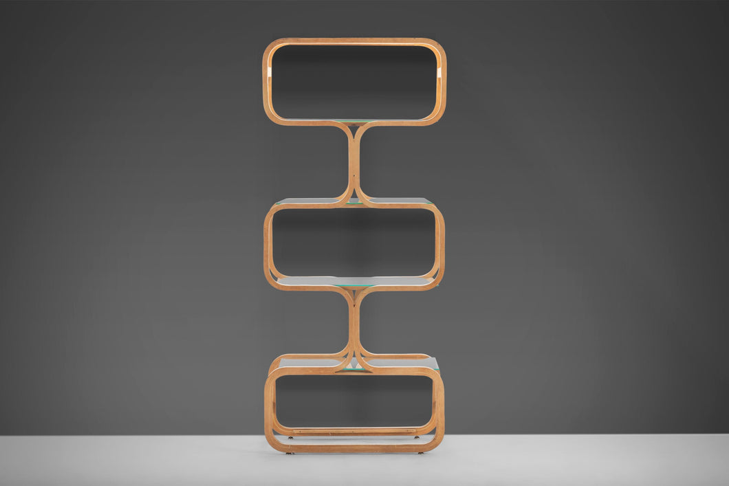 Plycraft Bentwood and Glass Etagere / Display, 1970s-ABT Modern